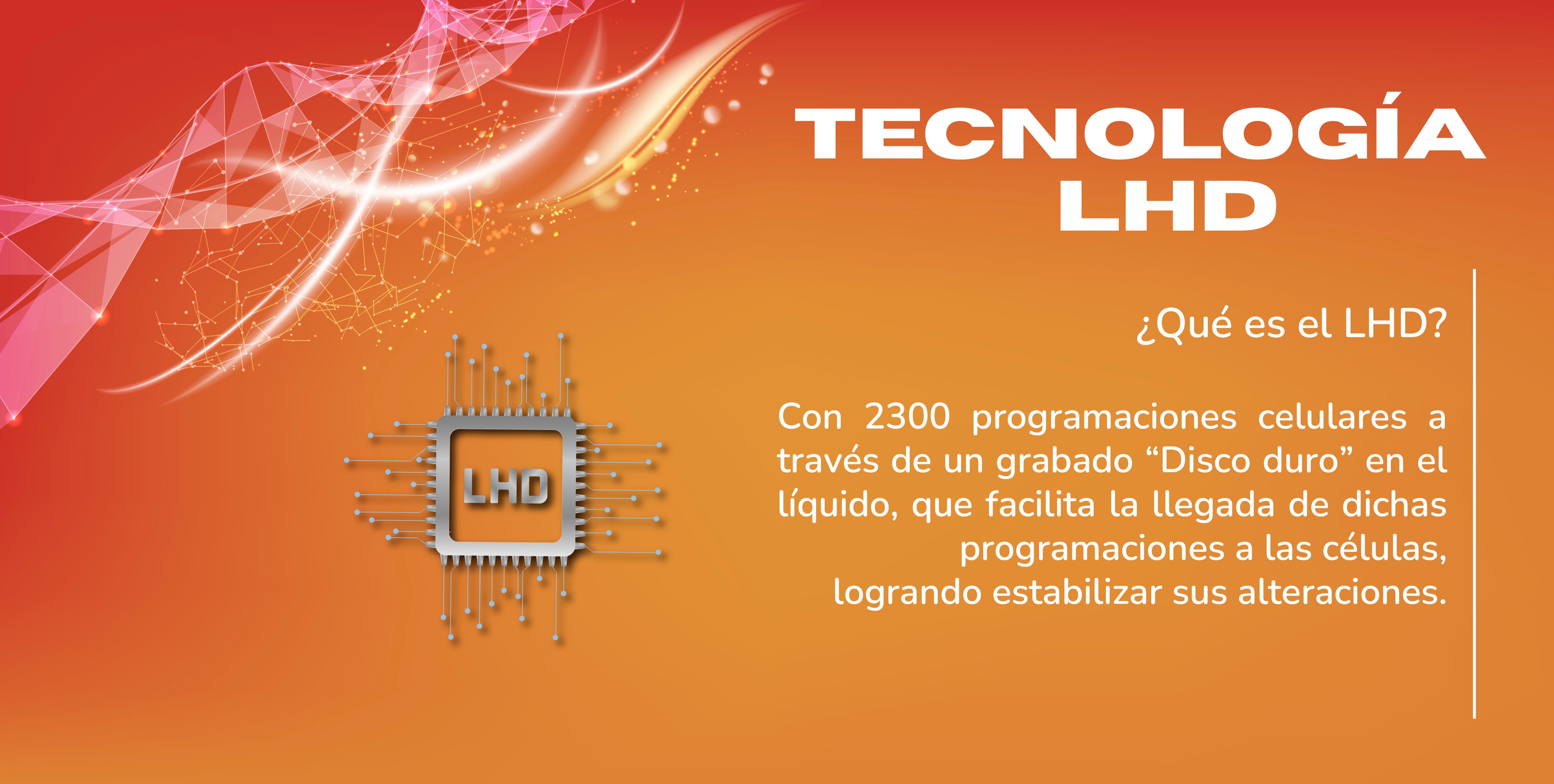Banner visual de Deyun L mostrando beneficios para el dolor lumbar con ingredientes naturales y absorción rápida